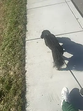 Esauhot online show from 24, 2, 2025