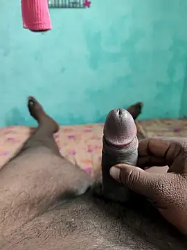 RoundHandler3 online show from 12, 1, 2026