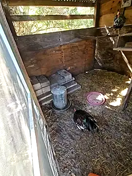 Snapshot of Mistress_Melissa chatting on 3, 2, 2025 Mistress Melissa online show from 3, 2, 2025