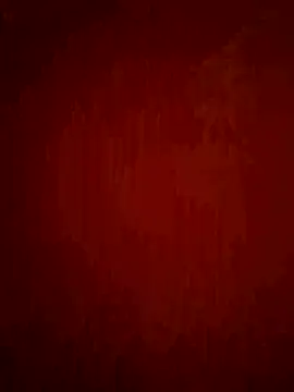 phnz online show from 11, 2, 2026