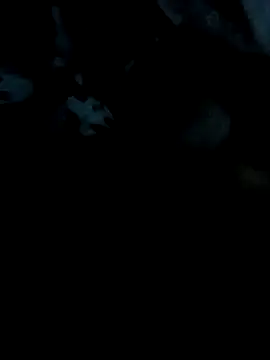 scopafiga14620 online show from 8, 4, 2026