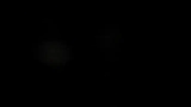 leatherz69 online show from 22, 12, 2024