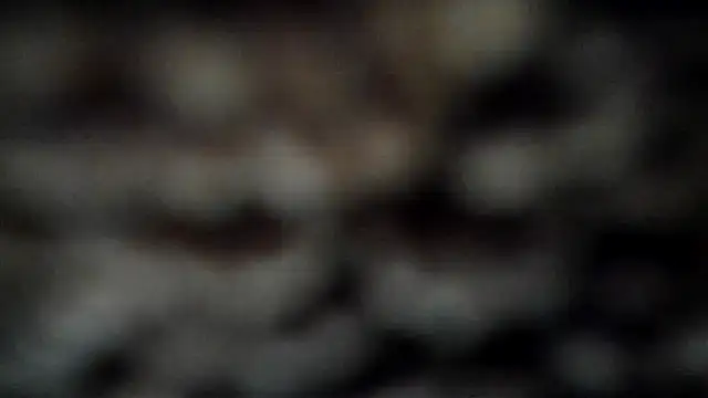 leatherz69 online show from 7, 3, 2025