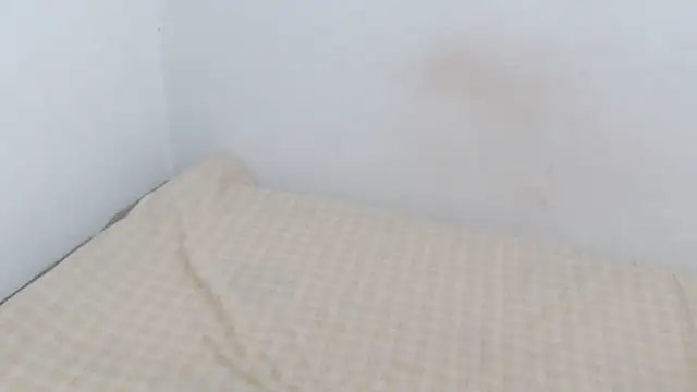 Adara cooper22 online show from 30, 10, 2025