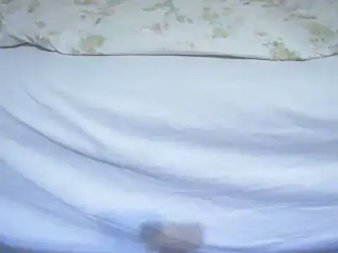 Tiger202441 online show from 12, 2, 2025