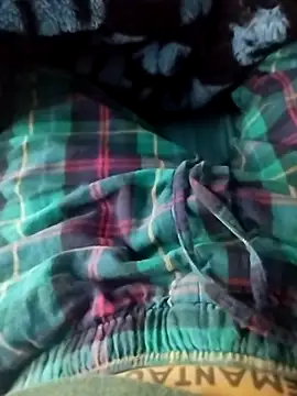 Dennis 2024 online show from 27, 3, 2026