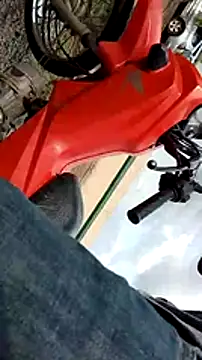 simulador69 online show from 5, 1, 2025