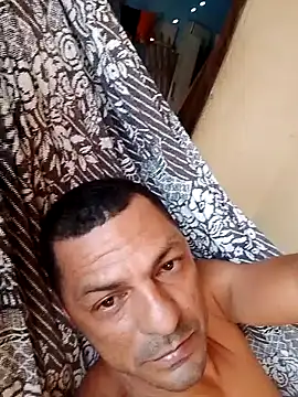 simulador69 online show from 4, 11, 2025