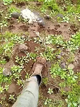 murokkk31 online show from 29, 3, 2026