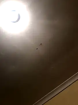 SmallGoodNut online show from 15, 11, 2025