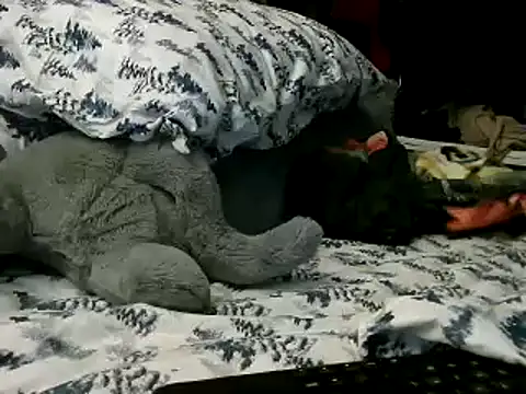 WHITEDAROSE online show from 15, 1, 2025