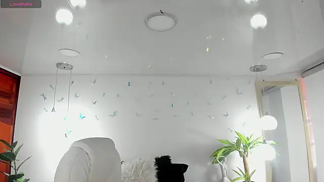  Antonnela  online show from 8, 3, 2026