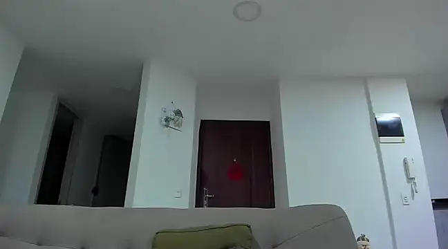 Snapshot of Alexander_Martines chatting on 3, 12, 2024 Alexander Martines online show from 3, 12, 2024