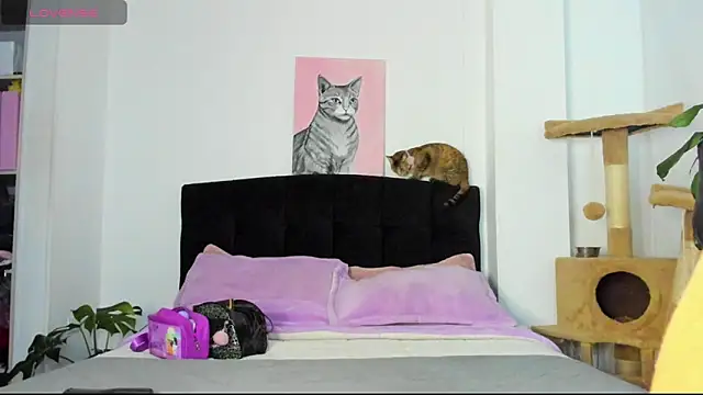 JuliaRose ks online show from 24, 3, 2026