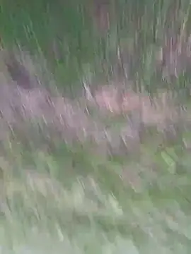 Vanesskaa online show from 1, 4, 2026