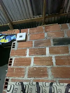 AlexaWarner online show from 22, 3, 2026