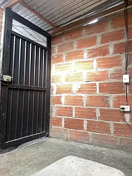 AlexaWarner online show from 24, 3, 2026