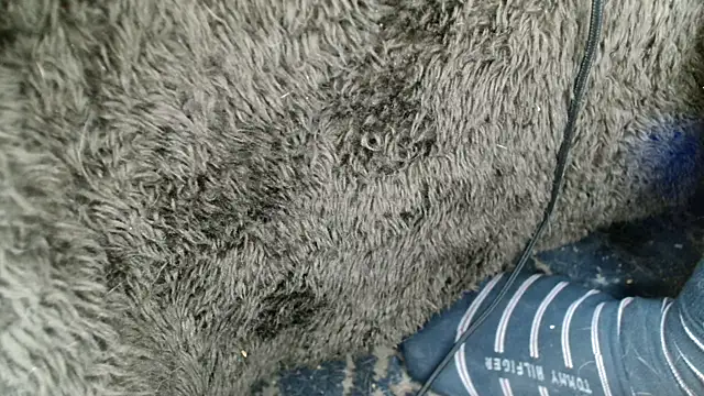 Snapshot of Gigadickman chatting on 13, 12, 2024 Gigadickman online show from 13, 12, 2024