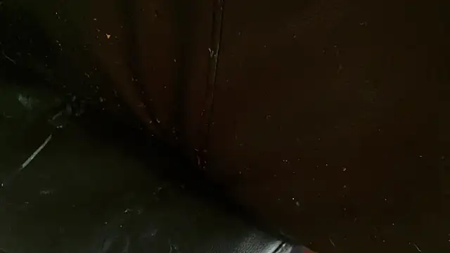 Snapshot of Gigadickman chatting on 2, 1, 2025 Gigadickman online show from 2, 1, 2025