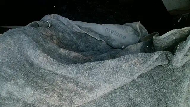 Snapshot of Gigadickman chatting on 2, 3, 2025 Gigadickman online show from 2, 3, 2025