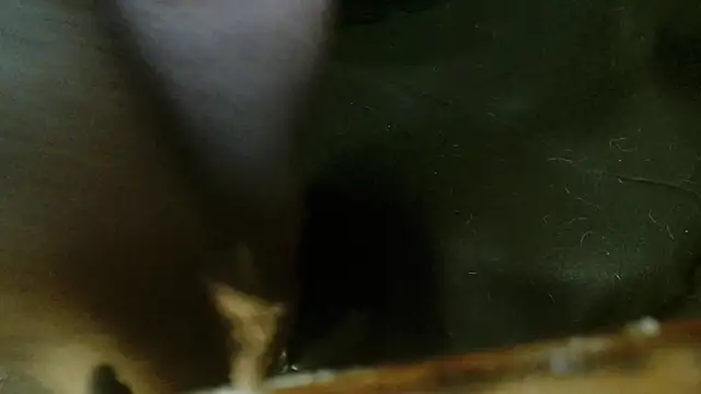 Snapshot of Gigadickman chatting on 4, 10, 2025 Gigadickman online show from 4, 10, 2025