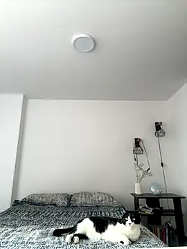 SofiaG  online show from 4, 10, 2025