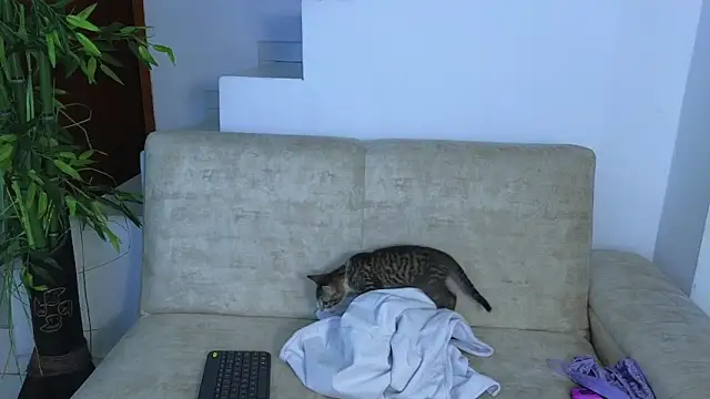 Lorenne Miller online show from 22, 10, 2025