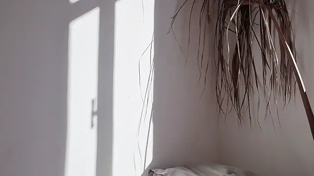 my lina online show from 17, 10, 2025