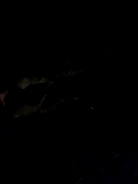 Wildherb244 online show from 4, 12, 2024