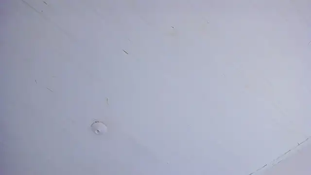 TiffanyWright online show from 14, 4, 2026