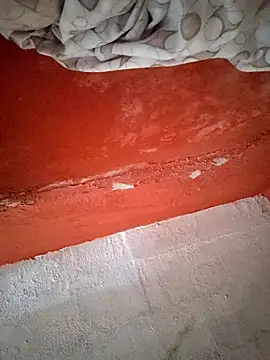 VL25DN26 online show from 17, 9, 2025