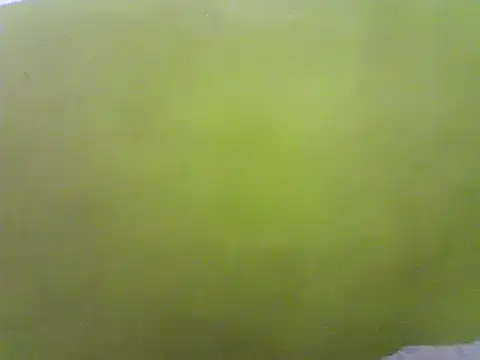 Snapshot of Claris2 chatting on 21, 1, 2025 Claris2 online show from 21, 1, 2025