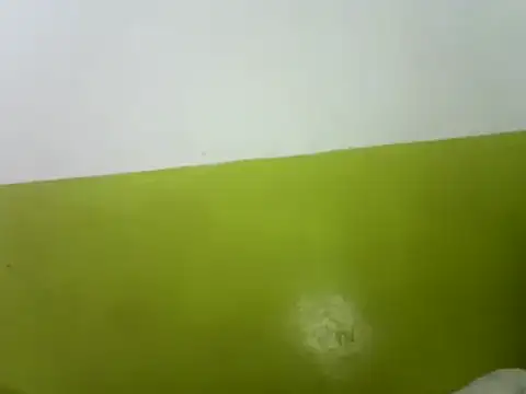 Snapshot of Claris2 chatting on 25, 2, 2025 Claris2 online show from 25, 2, 2025