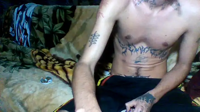 sellvageria online show from 26, 11, 2025