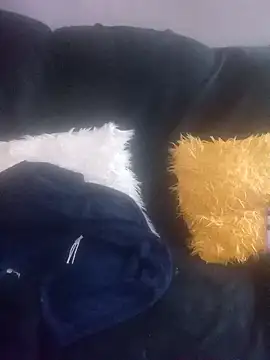 amarrabrown2024 online show from 17, 3, 2025