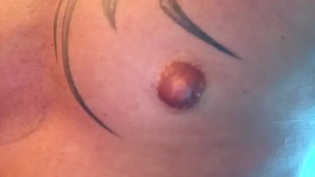 Timbojan28 online show from 11, 2, 2026