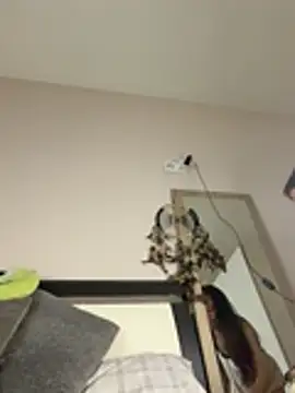 SOFIASWEETSECRETT online show from 28, 3, 2026