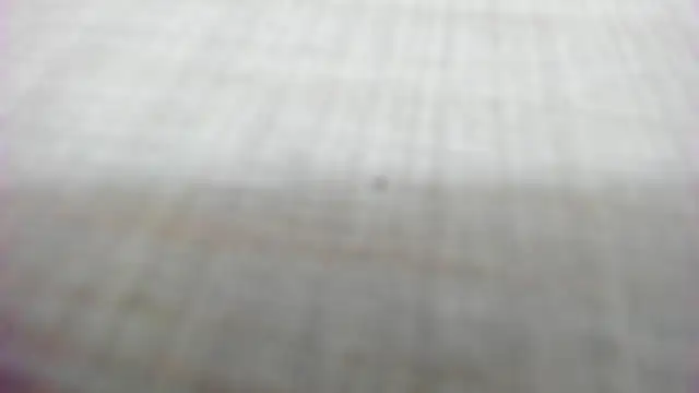 Snapshot of AishaRouhi chatting on 14, 2, 2026 AishaRouhi online show from 14, 2, 2026