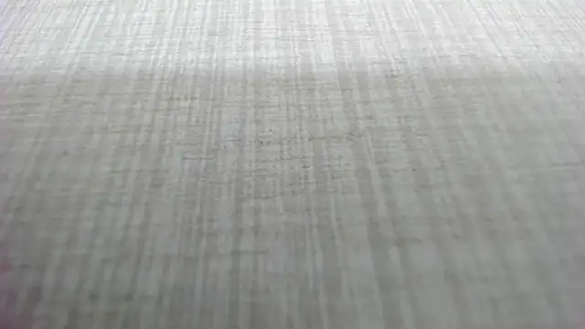 Snapshot of AishaRouhi chatting on 4, 3, 2026 AishaRouhi online show from 4, 3, 2026