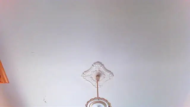 wolfman38 online show from 28, 4, 2026