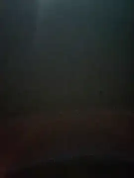 Snapshot of cumshotboy01 chatting on 16, 12, 2024 cumshotboy01 online show from 16, 12, 2024