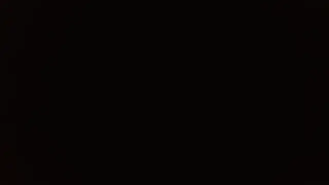 Stefanny Taylor  online show from 2, 3, 2026