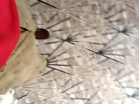 sokrates13 online show from 21, 1, 2025