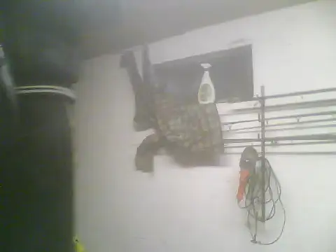 Rejtelmesest online show from 22, 2, 2025