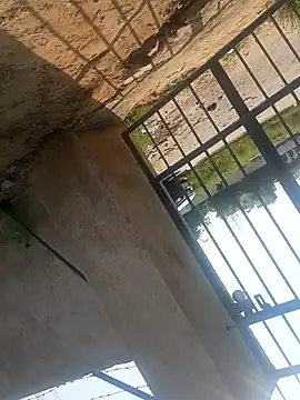 rjxraj online show from 23, 10, 2025