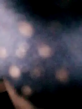 Snapshot of Hotpussy3ox chatting on 18, 9, 2025 Hotpussy3ox online show from 18, 9, 2025