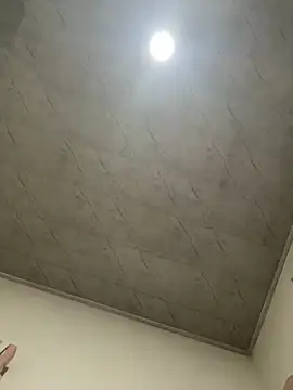 petitolivia online show from 20, 9, 2025