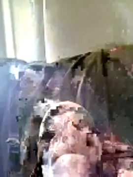 Pineapple04 online show from 26, 3, 2026