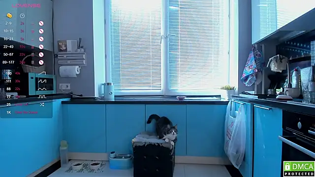 wwildfox online show from 16, 3, 2026