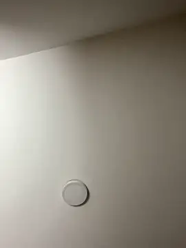 Freya Artemisa online show from 13, 2, 2026